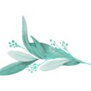 실버스노우