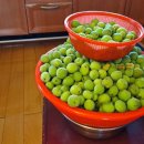 연세힘찬마디의원 이미지