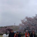 예당공원 Daum카페