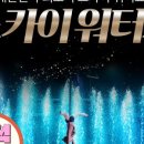스카이워터쇼 네이버블로그