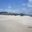 증도 갯벌생태전시관 이미지