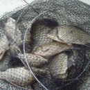 16.영인면사무소 이미지