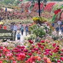 장미파크 이미지