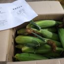 손병곤 농장 이미지