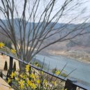 카페 피오르 이미지