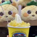 김삿갓169 한우농장 | [하와이8박10일] 하와이 쇼핑리스트