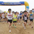 싱싱투어
