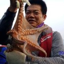 군산대박 이미지