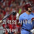 [카디널스 2014 매물 2] LF. Schwarber, Kyle 이미지