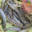 유통단지길(풍산읍) 이미지