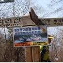지리산큰나무 이미지