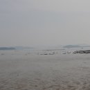 비봉마리나 이미지