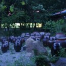 국민청소년수련원 이미지