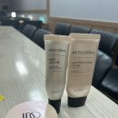 더드림(인셀덤)