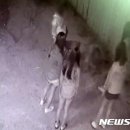 한국교육진흥원 네이버블로그