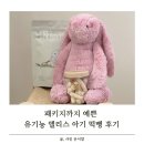 아기 첫 간식 고민 끝 패키지까지 예쁜 유기농 앨리스 아기 떡뻥 후기