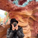 J0127 | 2024 도쿄 4 (디즈니씨, DPA, 디즈니씨 간식, 식당, 꿀팁, 맥도날드, 해피밀)