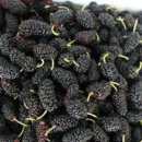 장성마을농장 이미지