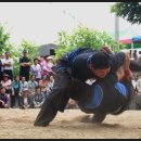 길안2 Daum카페