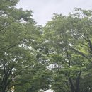 전원말길 13 | 부산 YMCA 인명구조요원 자격증 취득 과정 후기2