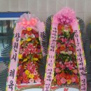 함께하는스포츠포럼
