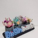 Begin English 이미지