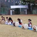 양양 상평초 공수전분교 '마을공동체와 함께하는 명랑 운동회' 이미지