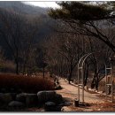 가평유스호스텔