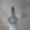 죽산 사우나 | 땅끝기맥 제5구간 계라리고개에서 오소재까지 산행후기