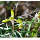 진도1호 이미지