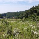 소태면사무소 이미지