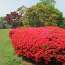 화서문로타리 이미지