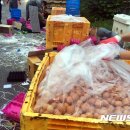 이병훈농장 이미지