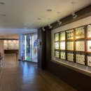 파주나비나라박물관 이미지