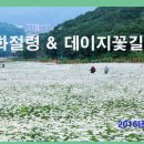 하이원주유소 이미지