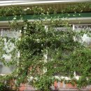 관광민박 이미지