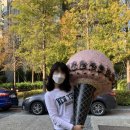 초당약국 이미지