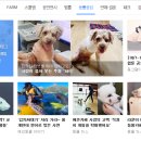 공감 이미지