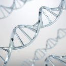 삼막골목장 이미지