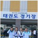 한국체대 영우태권도 이미지