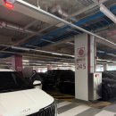 클로버렌트카 | 공항 단기주차장, 대한항공 KE417 유아바시넷•기내서비스 등, 클로버 한인택시, 하얏트 리젠시호텔 후기