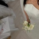 힙하고 감각적인 웨딩드레스 찾는다면 💍 블레스올데이즈(Bless All Days)