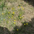 옥포대첩기념공원 이미지