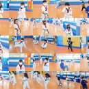 천하태권도스쿨 이미지