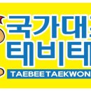 국가대표 태비태권도 이미지