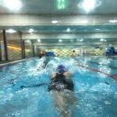 블루오션 키즈 스위밍 | 서울 도봉구 블루오션키즈스위밍, 가는법, 후기, 주차