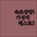 산 무인호텔 | 속초 양양 가성비 호텔 베스트 5 상세 위치 객실 사진 실제 투숙 후기 정리