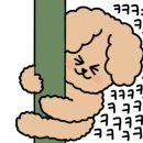 맛있개냥 이미지