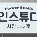 아인플로라 이미지