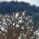 백송농장 이미지